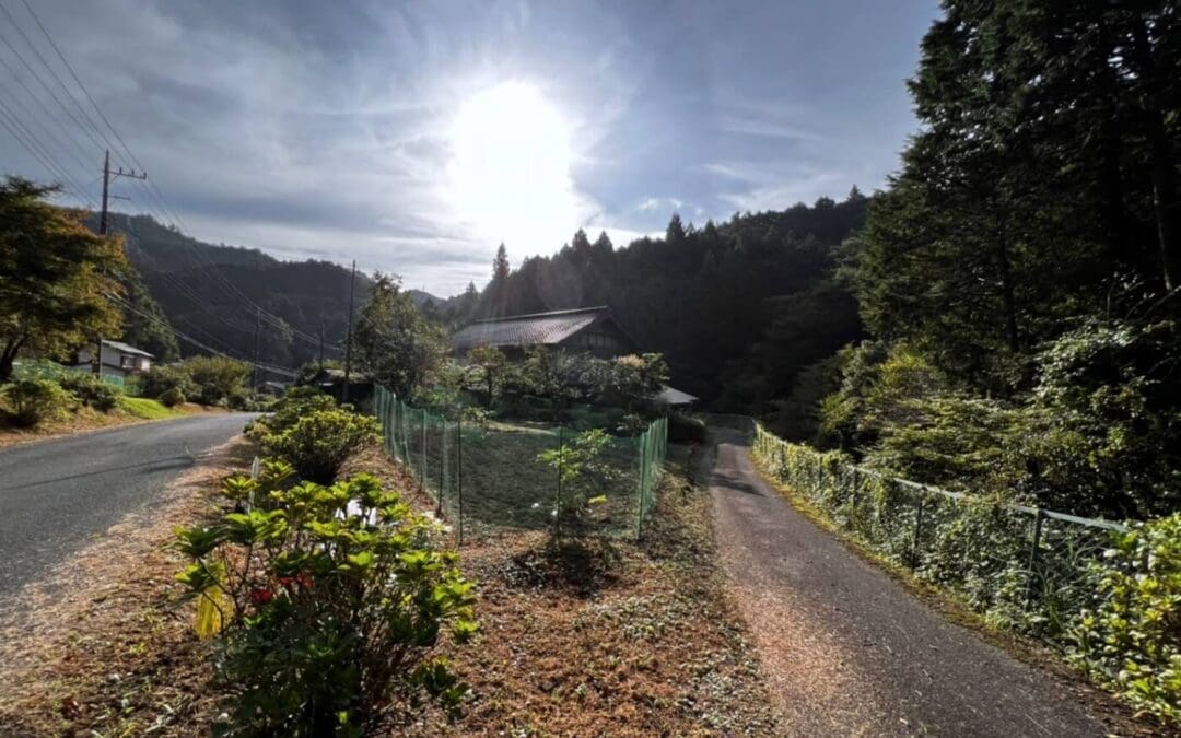 AI and Rural Life: Rewilding Through Regenerative Practices