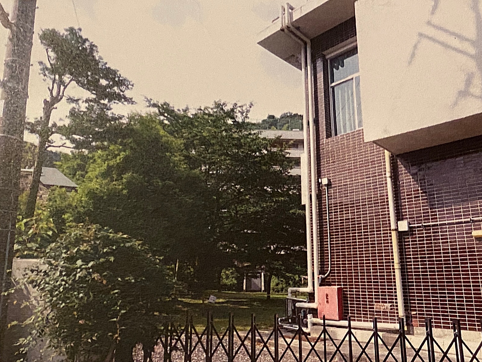 Grand Resort Complex in Yugawara-Atami — 16 Floors, 250+ Rooms photo 8