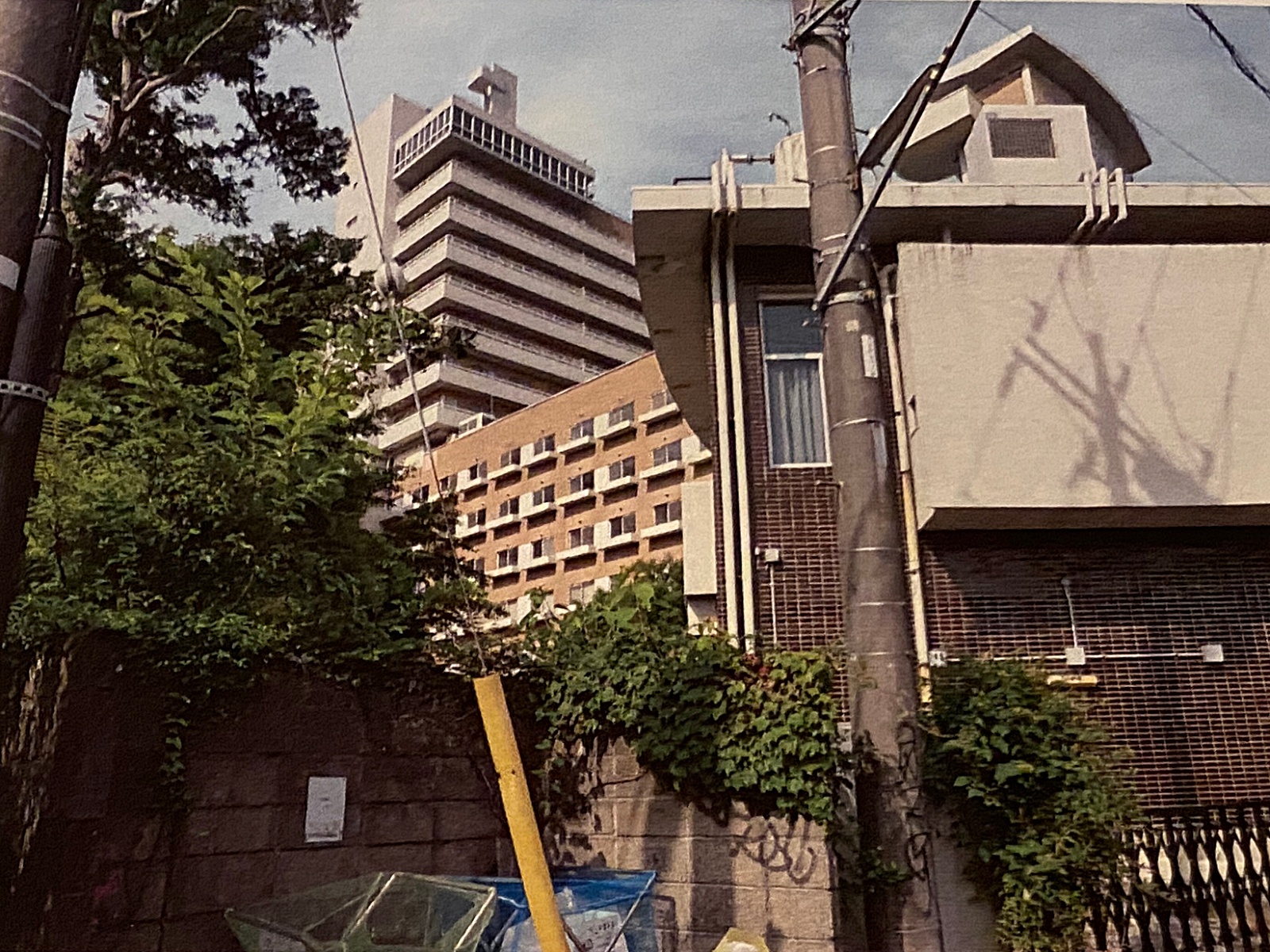 Grand Resort Complex in Yugawara-Atami — 16 Floors, 250+ Rooms photo 9
